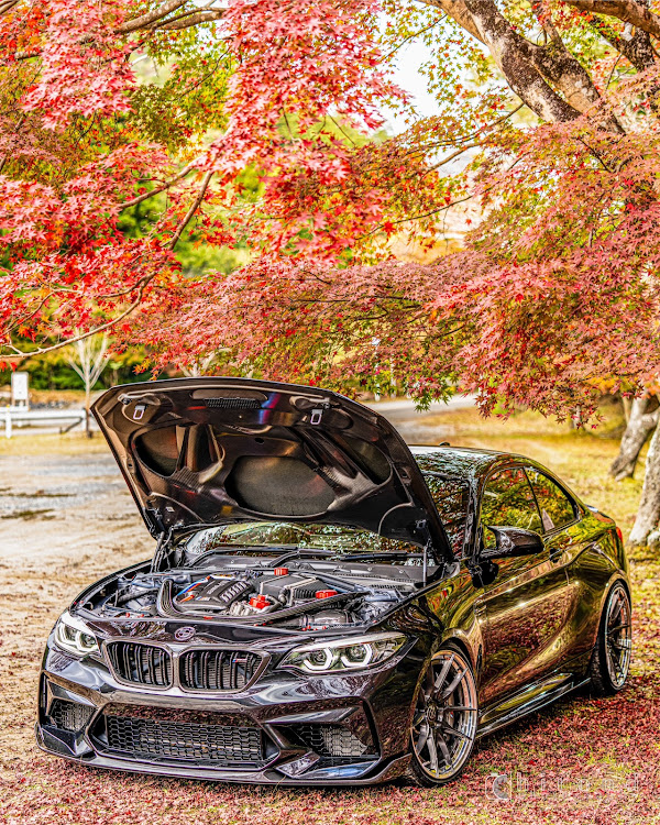 M2 クーペの写活の秋・紅葉・高雄パークウェイ・sel400f28gm・タキさん専用マンホール画像に関するカスタム事例の投稿画像8枚目