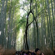 竹林土雞城海鮮餐廳