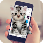 Cover Image of Tải xuống Cat Walks In Phone Funny Joke - Cute Joke 1.0.4 APK