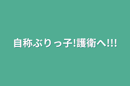 自称ぶりっ子!護衛へ!!!