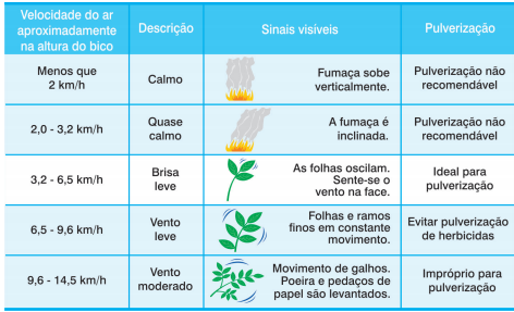 Herbicida pré-emergente para milho: todas as dicas para aplicação