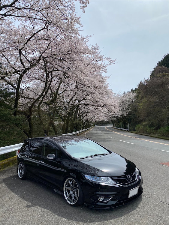 ジェイドの4月もよろしくお願い致します🌸・サクラと愛車・桜とコラボ・桜・箱根ターンパイクに関するカスタム事例の投稿画像2枚目