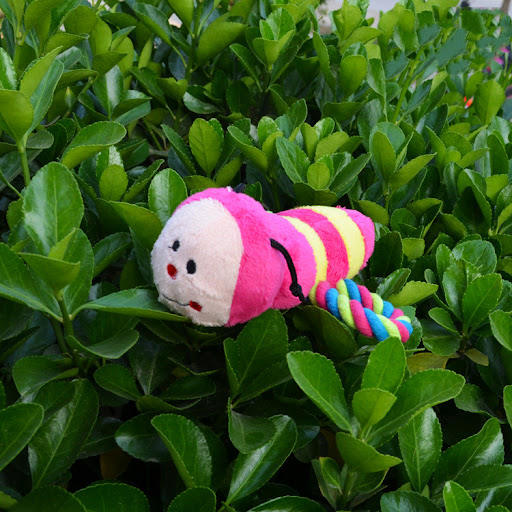 Title 4, Cartoon Plush Ant Pet Dog Sounding Toy, a soft ...