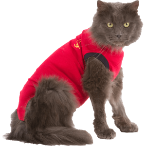 Pet Shirt Katt