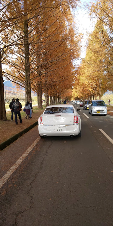 300のドライブ・メタセコイヤ並木・福井県・紅葉と愛車に関するカスタム事例の投稿画像4枚目
