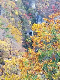 転校しないで律様‼️