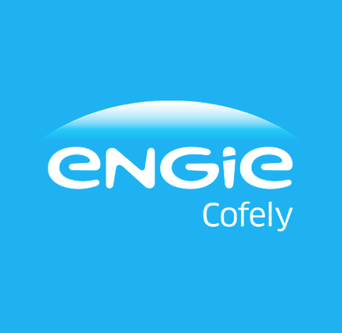 ENGIE ENERGIE SERVICES (ENGIE RESEAUX ENGIE COFELY ENGIE SOLUTIONS) logo