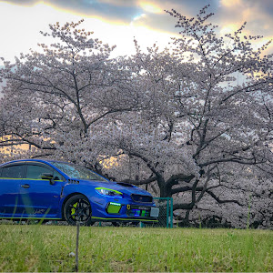 WRX STI VAB