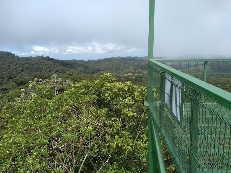 Santa Elena Preserve, Monteverde