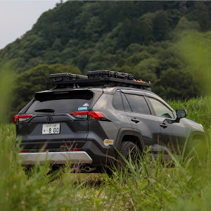 RAV4 MXAA54