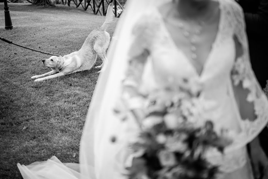 Fotografo di matrimoni Roberto Arcangeli (robertoarcangeli). Foto del 30 ottobre 2020