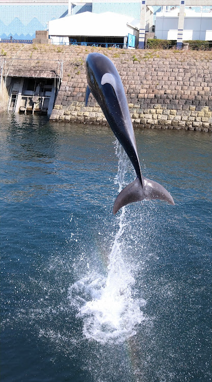 の投稿画像5枚目