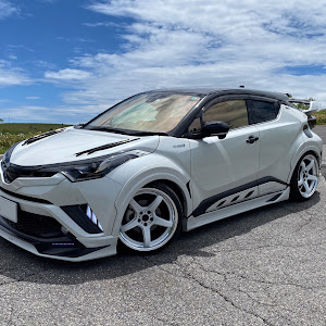 C-HR ZYX10