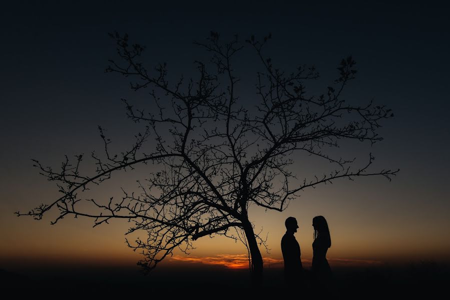 Fotografo di matrimoni Mihai Albu (albu). Foto del 20 ottobre 2017