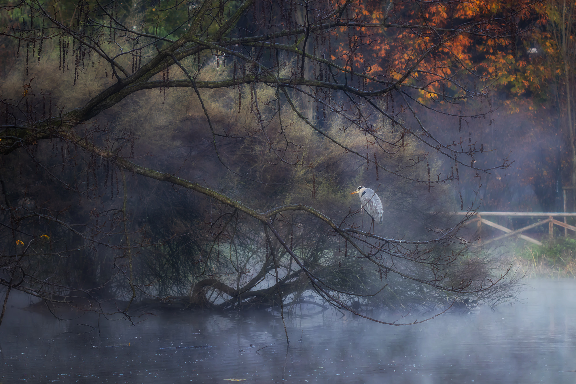 Autunno milanese di christine_pacini