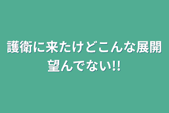 護衛に来たけどこんな展開望んでない!!