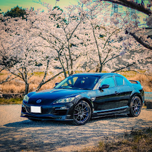 RX-8 SE3P