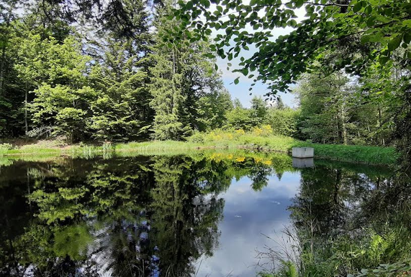  Vente Terrain à bâtir - à Faucogney-et-la-Mer (70310) 