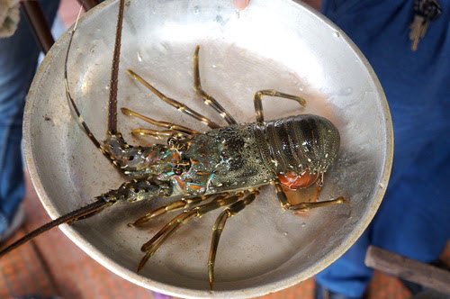 高雄美食推薦【海忠寶】旗津超新鮮活海產