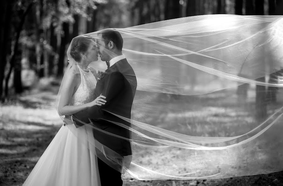 Fotógrafo de casamento Aleksandr Zhosan (alexzhosan). Foto de 12 de abril 2020