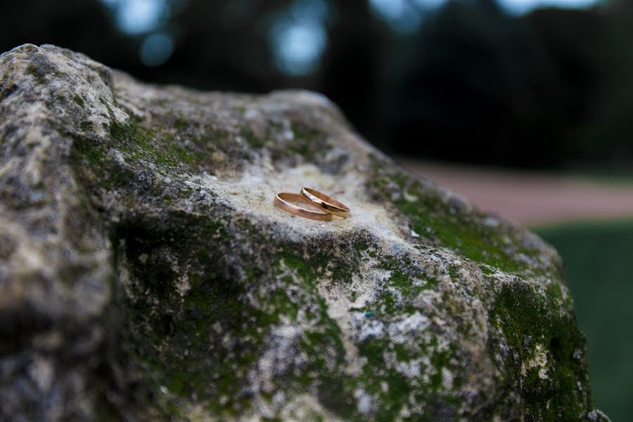 Fotografo di matrimoni Arina Borodina (aren09). Foto del 15 marzo 2019