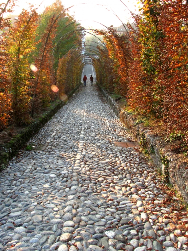 Incamminandosi verso l'inverno... di Simone De Barba