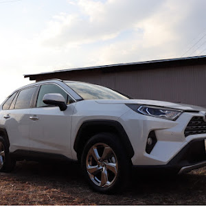 RAV4 AXAH54