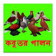 কবুতর পালন নিয়ম-কানুন  Icon