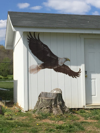 Eagle Art