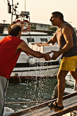 il lavoro del pescatore di AlbertoCataldi