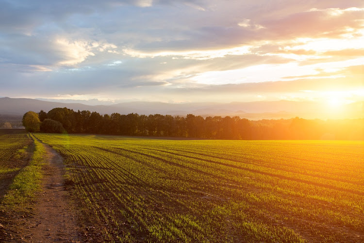 Corruption Watch researchers interviewed 35 members of eight farm businesses located in the Western Cape and each discussed their experiences of the farm worker equity schemes, with many articulating a number of serious issues.