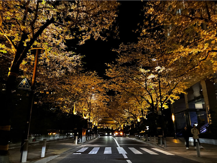 ロードスターのFunky Roadster Club・東京タワーとコラボ・夜桜と愛車・夜桜ライトアップ・夜ドライブに関するカスタム事例の投稿画像3枚目