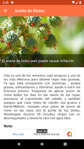 Como Hacer Crecer Las Cejas Naturalmente