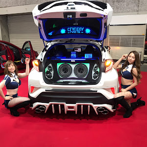 C-HR ZYX10