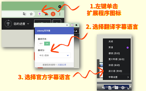 Udemy双字幕 - 字幕翻译器