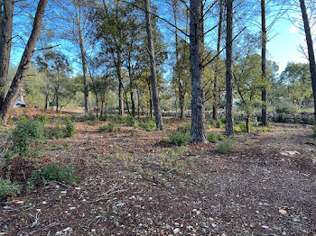 terrain à Trans-en-Provence (83)