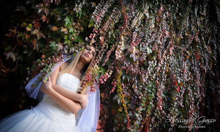 Wedding photographer Alessandro Grasso (alessandrograsso). Photo of 7 December 2018