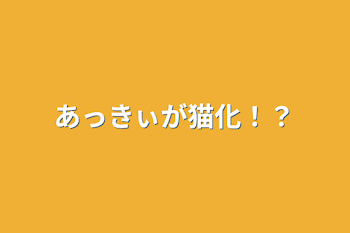 「あっきぃが猫化！？」のメインビジュアル