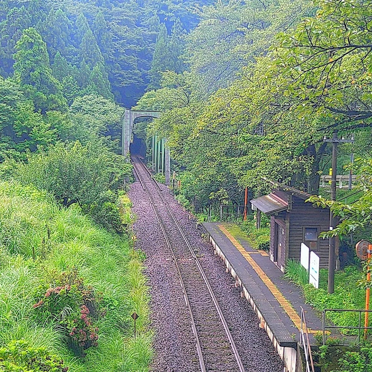 の投稿画像9枚目