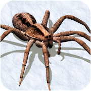 Ultimate Spider Simulator - RPG Game 1.0 Icon