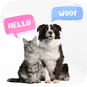 Dog & Cat Translator Prank