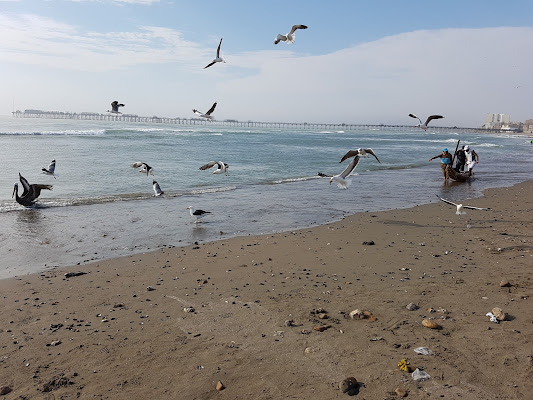 Pesca nel Pacifico di Alexbarbi