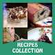 Download Blueberry Cake Recipes For PC Windows and Mac 1.0.0