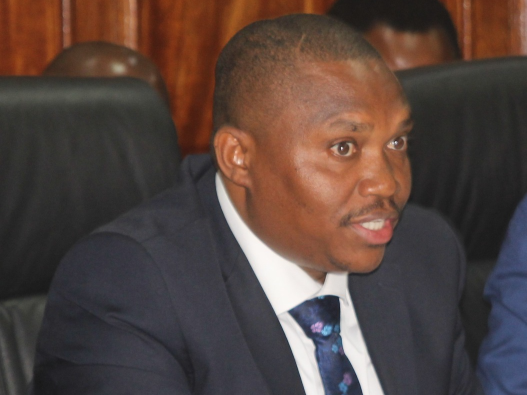 Mining PS Elijah Mwangi when he appeared before the Public Accounts Committee on March 14,2023