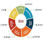 Body Mass Index (BMI) 4.0 Icon