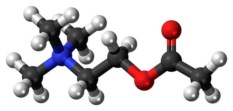 Molécula de acetilcolina