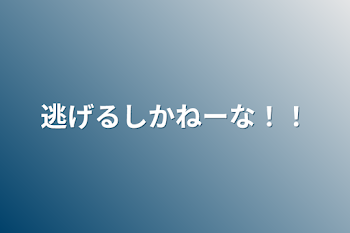 逃げるしかねーな！！