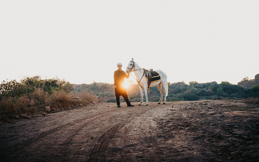 leading horses across the prairie screenshot 1