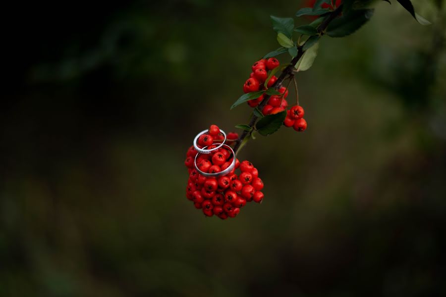 Fotógrafo de bodas Szőke Sándor (sandorszokefoto). Foto del 14 de noviembre 2022