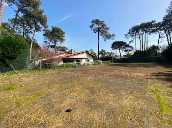 maison à Lege-cap-ferret (33)